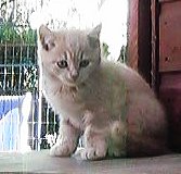 Eric